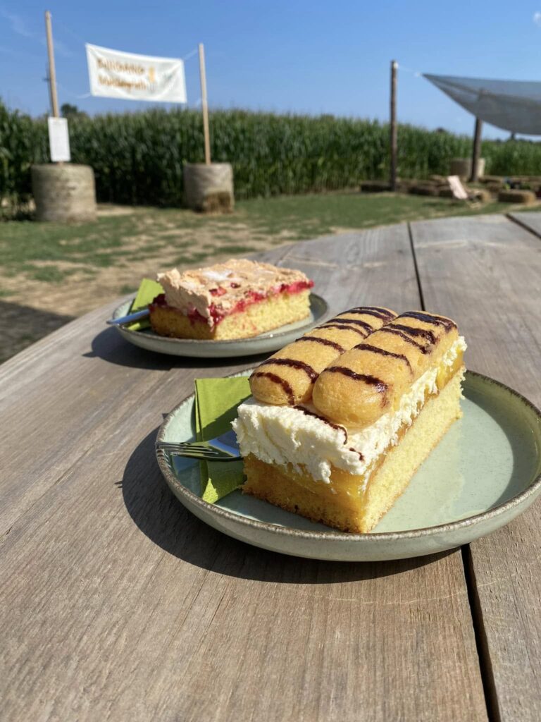 Maislabyrinth Bad Blumau Vorbereitungen