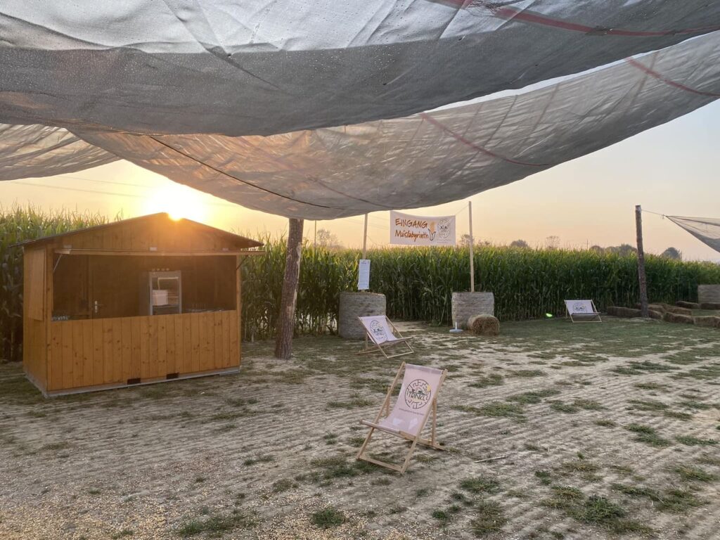 Maislabyrinth Bad Blumau Abendstimmung