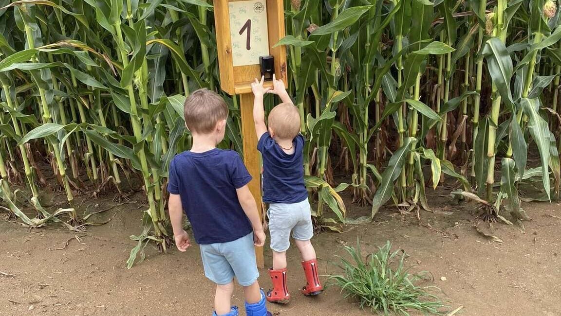 Kinder im Maislabyrinth
